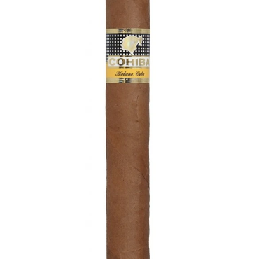 Charuto Cohiba Siglo VI - Unidade